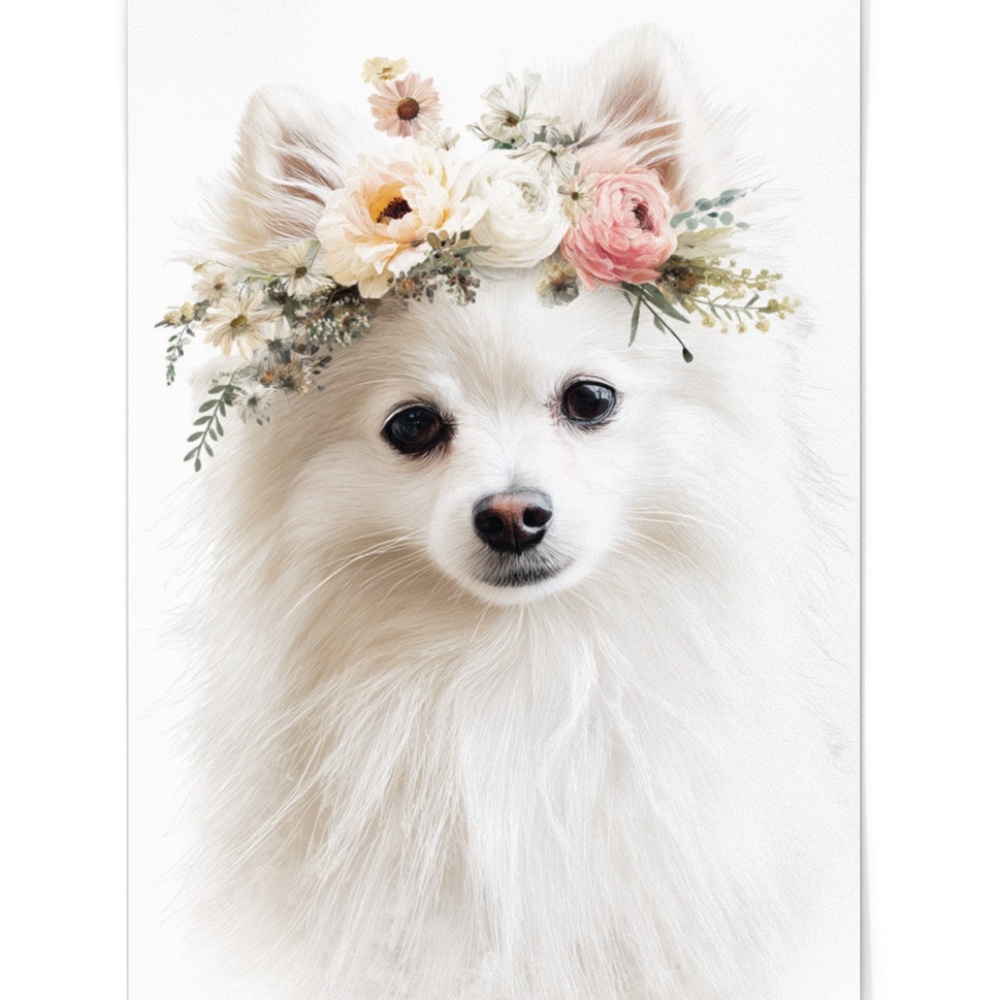 Watercolor White Pomeranian Dog Portrait Art Print – Unframed Fine Art Poster - Picture 2 of 5